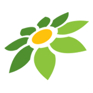 JAYA88